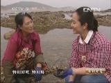 生财有道 《生财有道》 20130819 走进农家乐系列——海王九岛渔家乐