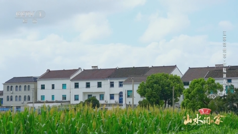 《山水间的家》第四季 20251026