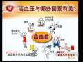 健康之路 高血压平安过冬