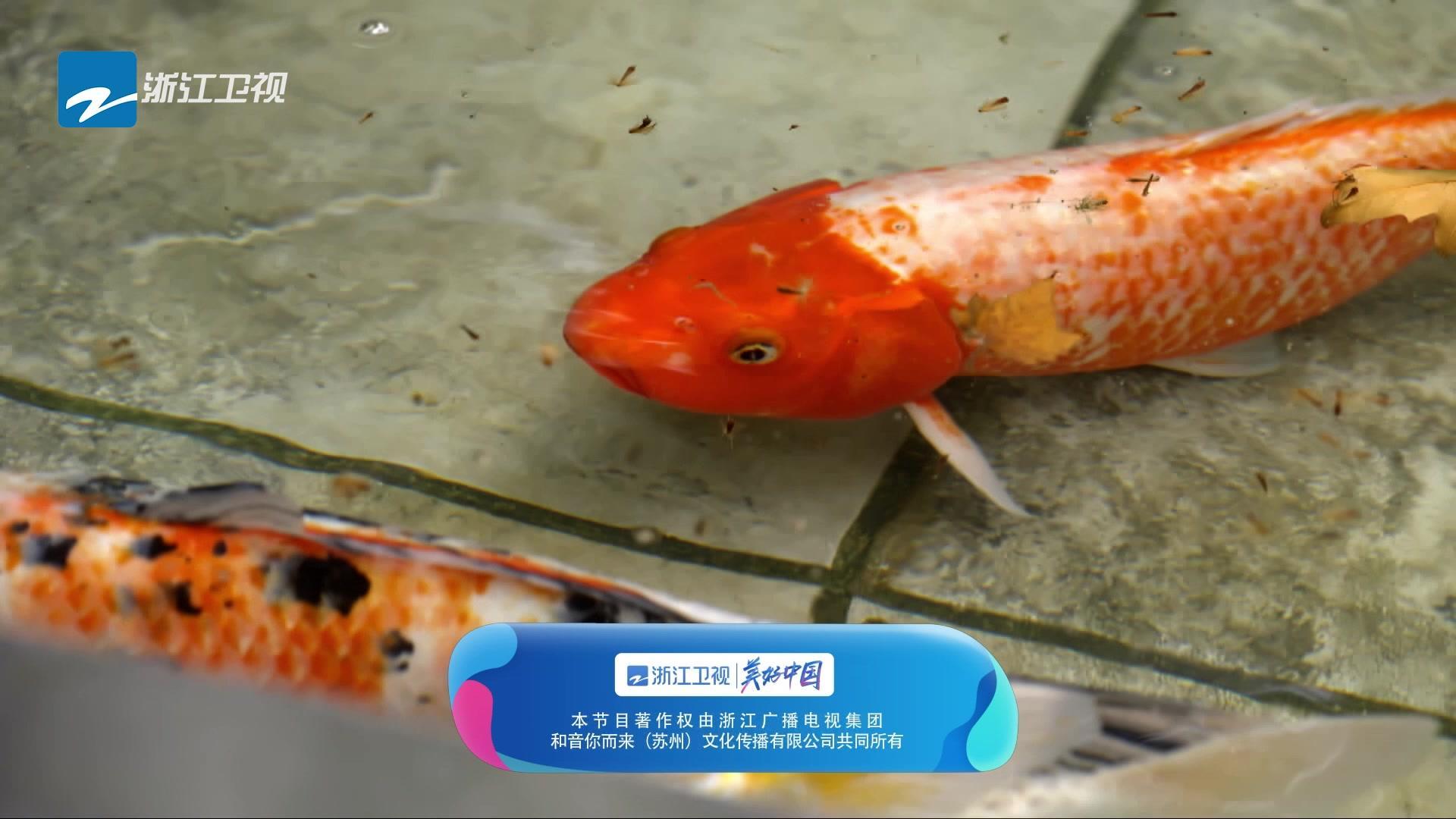 追梦人之无界人生 20210919