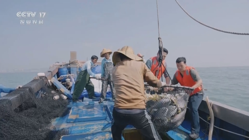《乡村大舞台》 20250118 幸福节节高
