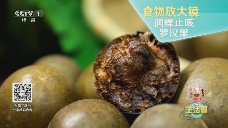 生活圈 《生活圈》 20240923