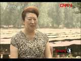 生财有道 [生财有道]北极狐的女主人(20110811)