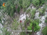 河北新闻联播 《河北新闻联播》 20180430
