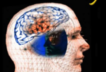 Horizon How Does Your Memory Work SD