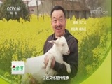 味道 《味道》 20171025 匠心独“道”——什么味道能入选海门状元宴