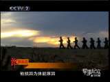 军事纪实 军事纪实 2010年 第181期