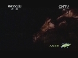 人与自然 《人与自然》 20140326 自然故事：玛拉玛拉的抗争——大旱降临