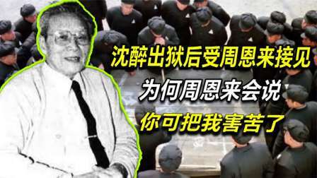 红墙往事 沈醉出狱后受周恩来接见，为何周恩来会说：你可把我害苦了