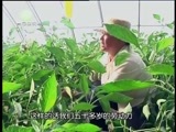 江源扫描 《江源扫描》20160528 黄河岸边添新绿