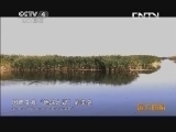 远方的家 百山百川行 第一百一十六集 黑河湿地 候鸟乐园《远方的家》 20131011