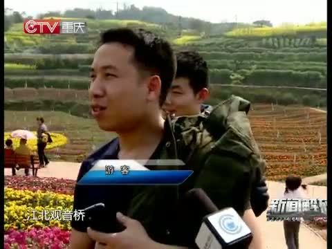 新闻解码 《新闻解码》 20150319 繁花似锦 何以成行