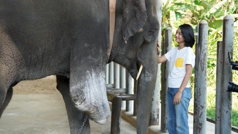 朱丹目睹截肢大象抑郁嘶吼 见证盲童乐团艰难完成音乐会