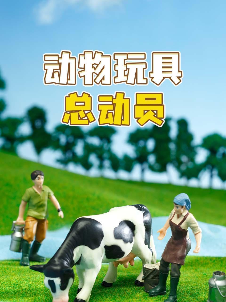 动物玩具总动员