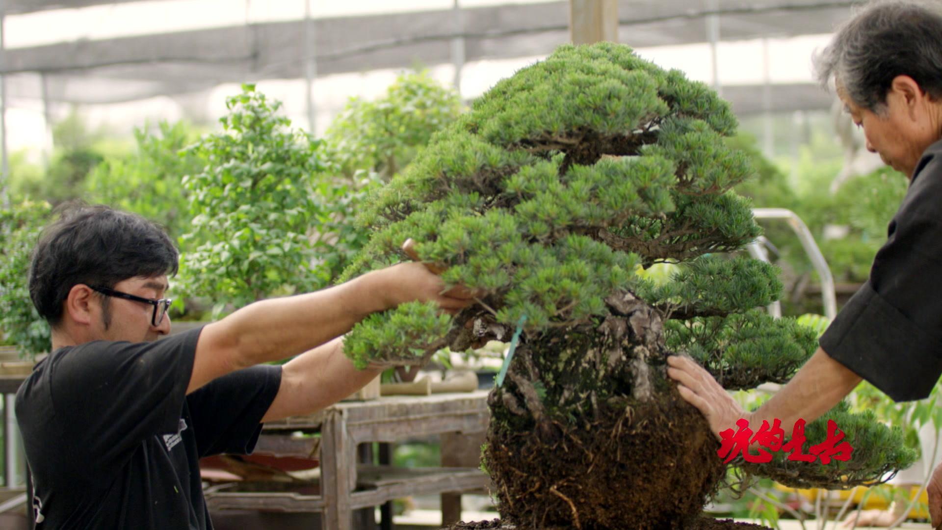 玩的是古 第2集