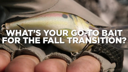 路亚大咖说-大师们秋季转换期都用哪些饵