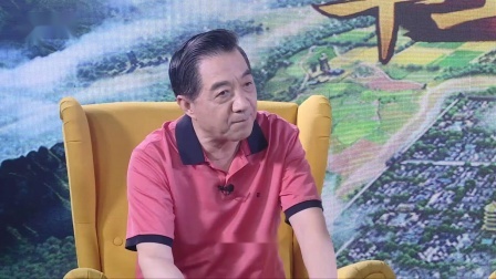 军武大本营 三国战役中蕴含的大局观 局座：刘备就是个无能之辈