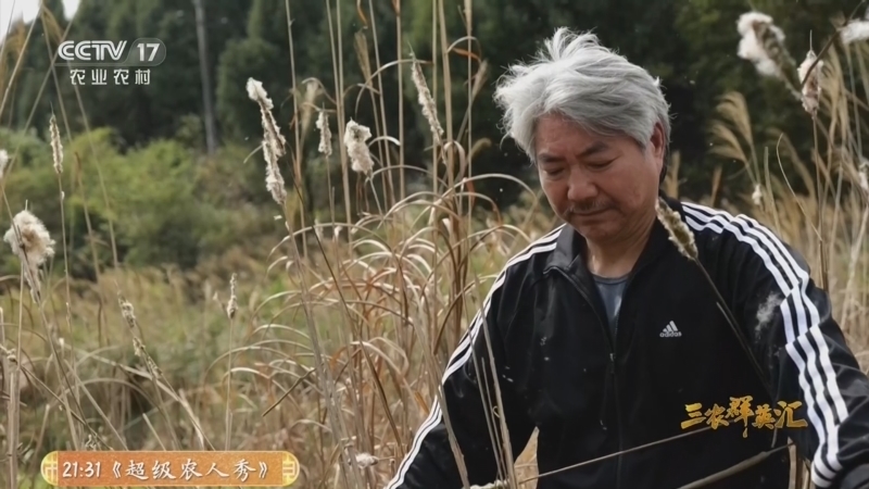 三农群英汇 《三农群英汇》 20260316 守住红线的驻村人