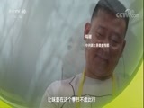 味道 《味道》 20180405 人间四月鲜-早春之鲜