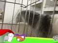 狗狗日记 第147天 豆子哥哥搬家了