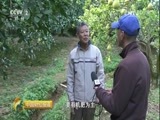 中国财经报道 《中国财经报道》 20170422 农业供给侧结构性改革新观察：资源消耗怎么减少？