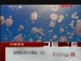 自然传奇 《自然传奇》 20120125 动物生存大揭秘（四）