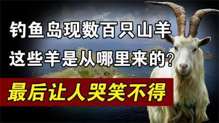 红墙往事 钓鱼岛惊现千只山羊跟日本有关？专家紧急赶往调查，原因让人愤怒