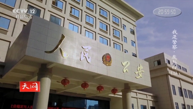 天网 《天网》 20201216 系列纪录片《我是警察·灰与白》（二）