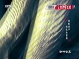 动物世界 《动物世界》 20170227 驯蛇高手的危险遭遇
