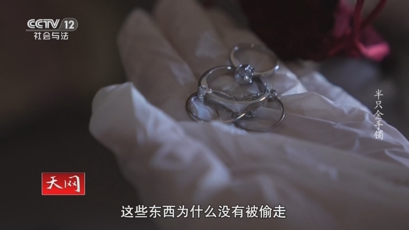 《天网》 20260210 半只金手镯