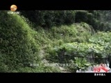 好人在身边 《好人在身边》 20160917 茶乡开路人