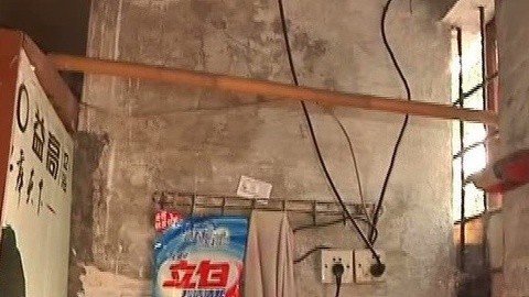 小强热线 小强热线20141110