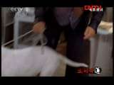 生财有道 《生财有道》 20110804 世界名犬（下）