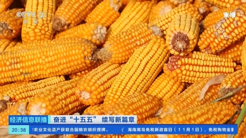 经济信息联播 《经济信息联播》 20251102