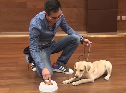 谁与争锋 第二季 宠物营养师家VS最强训犬师