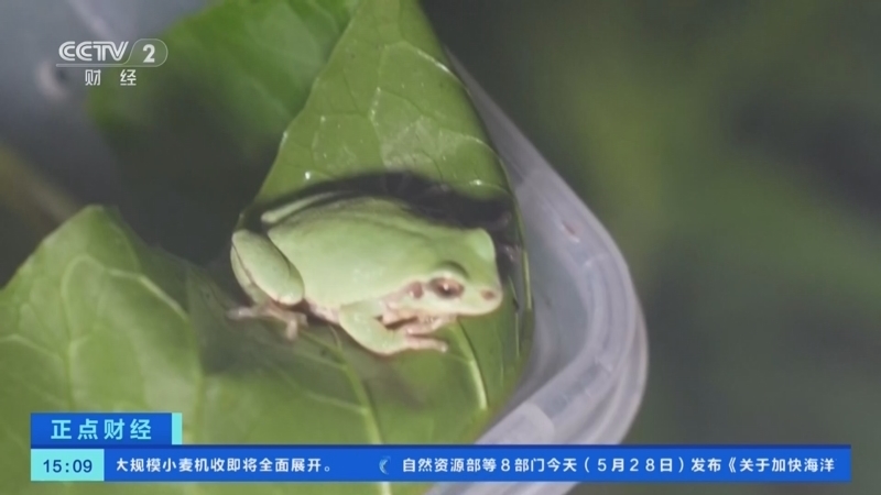 正点财经 《正点财经》 20260528 15:00