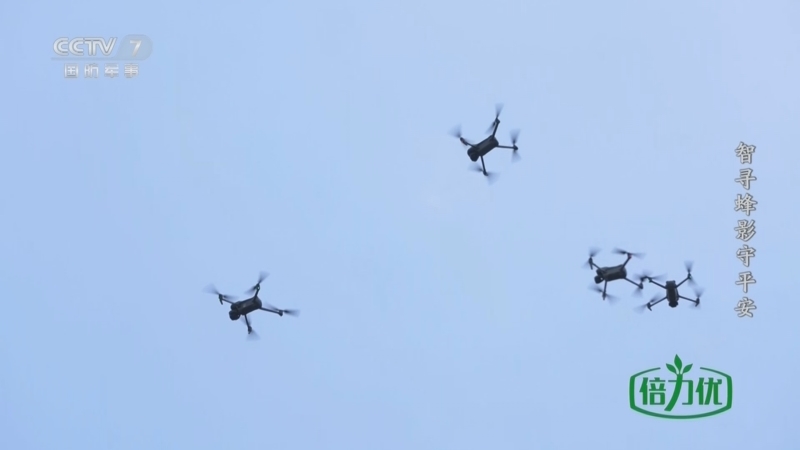 《军武零距离》 20251013 智战 智寻蜂影守平安