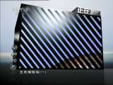 动物世界 动物世界 2011年 第46期 2011-02-26