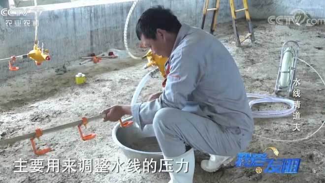 我爱发明 《我爱发明》 20200717 水线清道夫