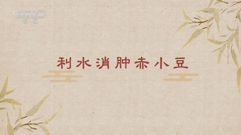 《百家讲坛》 20250508 舌尖上的养生（第二部） 4 利水消肿赤小豆