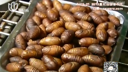 人气美食 “怪咖”美食