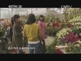 消费主张 《消费主张》 20150211 我们的年货——大吉大利是年橘