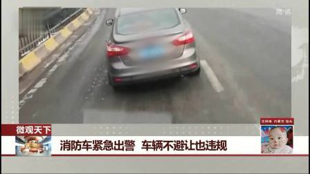 每日新闻报 野猪蹿上高速路 女司机正确处置