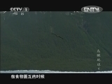 魅力纪录（CCTV-1综合频道） 《魅力纪录》 20121004 鸟瞰地球 第四集 南美洲