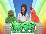 绿野寻踪 《绿野寻踪》 20170419