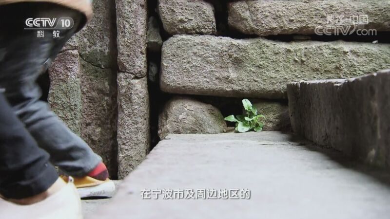 地理中国 《地理·中国》 20200915 火山密档 2