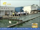 广西新闻 《广西新闻》 20160323