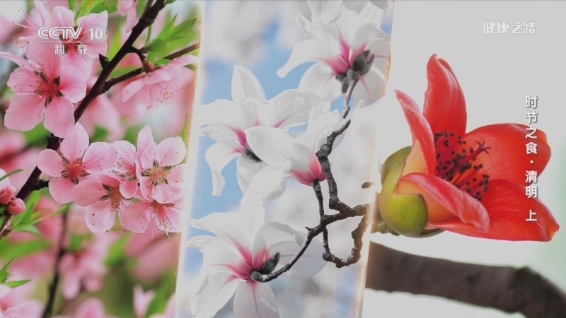 健康之路 《健康之路》 20240404 时节之食·清明（上）