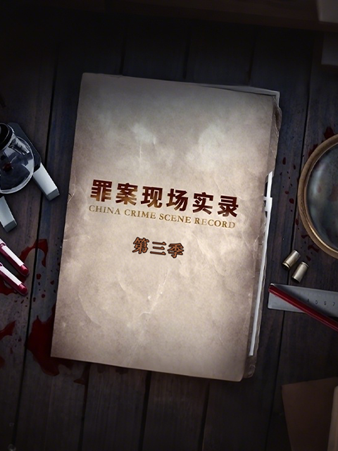 罪案现场实录 第三季 海报