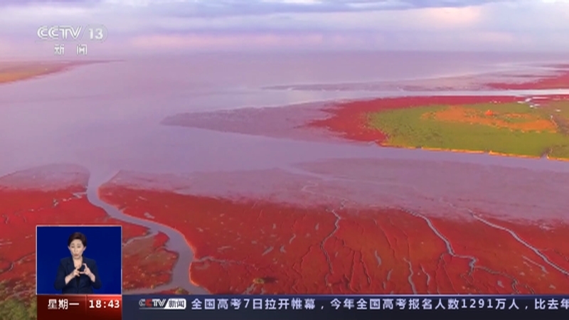 共同关注 《共同关注》 20230605